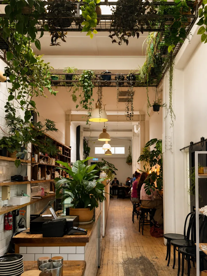The plant-filled café interior at Little Long Espresso
